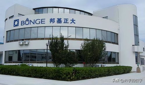 胖東來繞開國內油企，以自主采購保障食用油食品安全